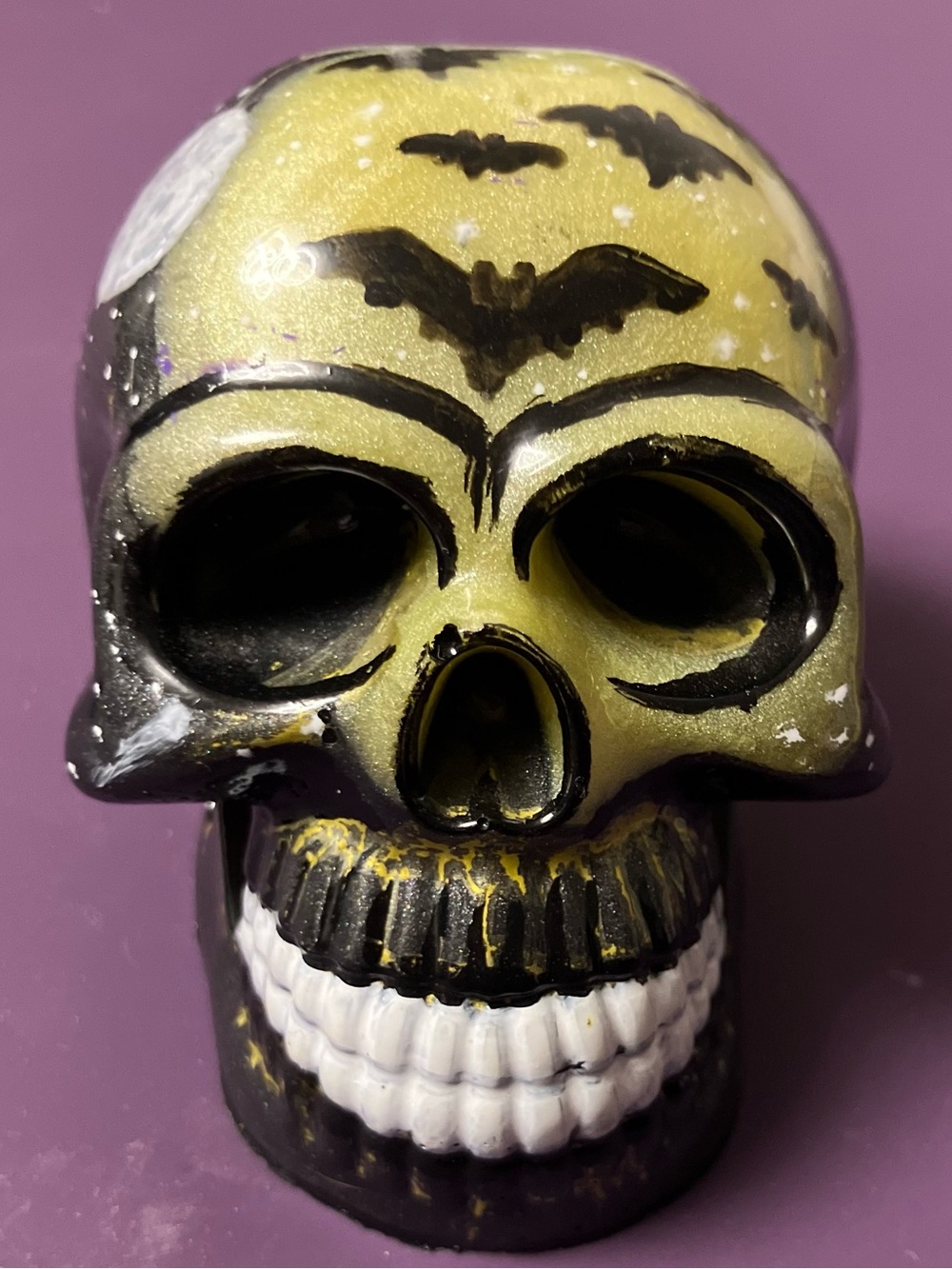 Bat skull